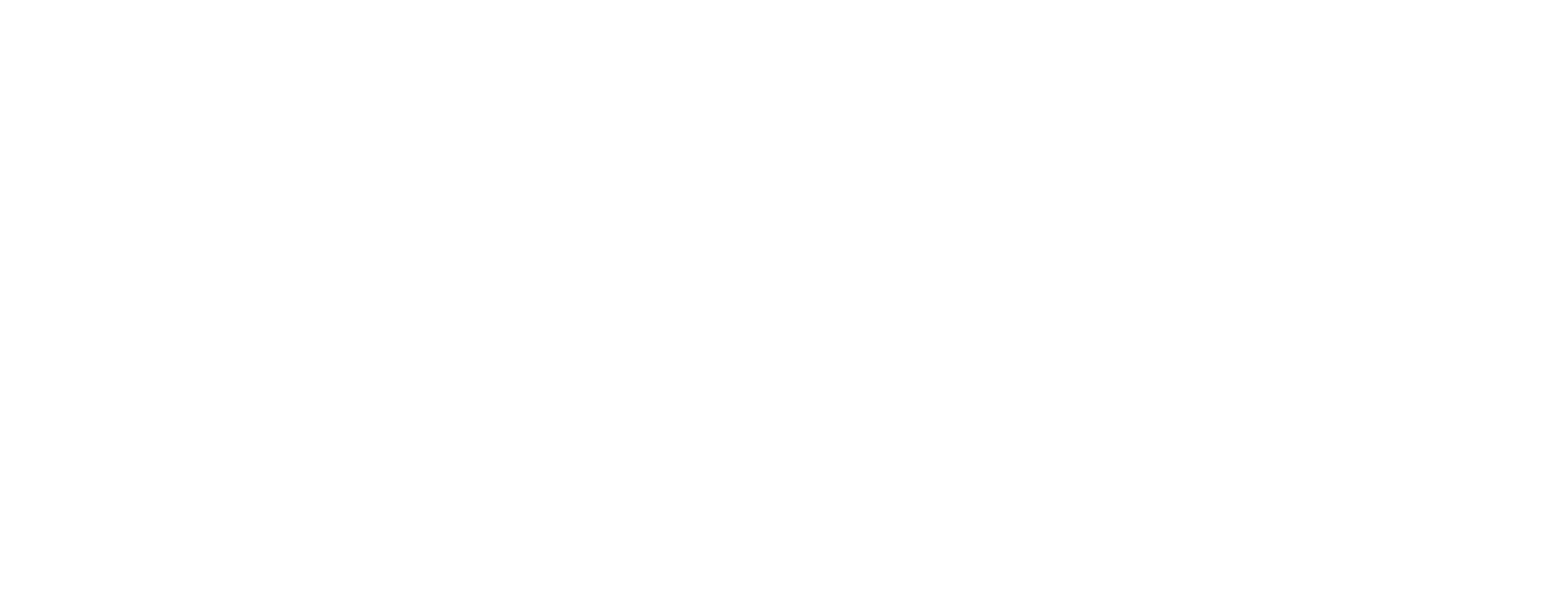 Sargus Security